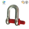 Us Type G210 Screw Pin D Shackle